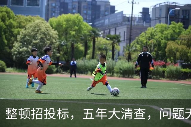 整顿招投标，五年大清查，问题无处遁形！
